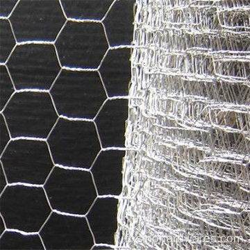 Usine de ventes directes Hexagonal Mesh Netting Netting Animal Cage Fence